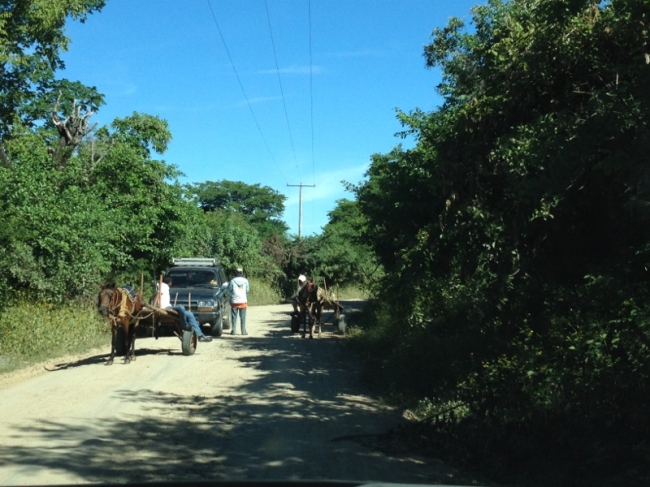 Traffic jam on road to Salinas Grande