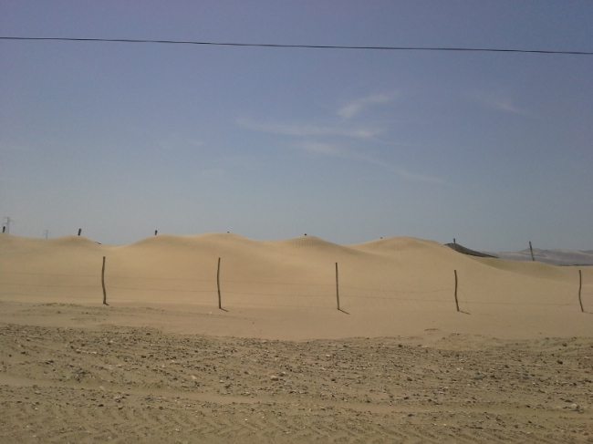 Sand Fences