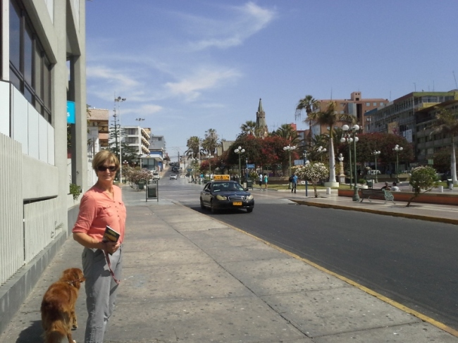 Downtown Arica