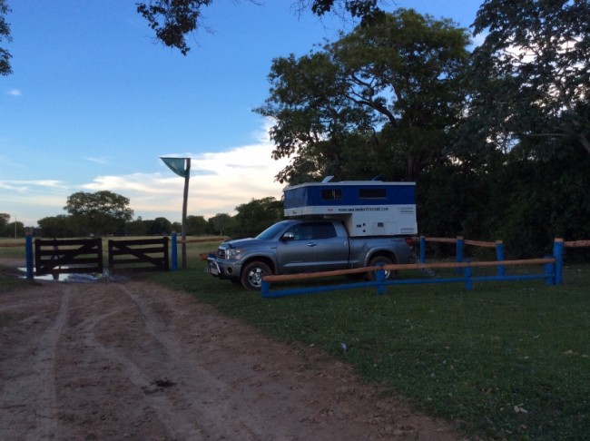 There were blue macaws in the trees