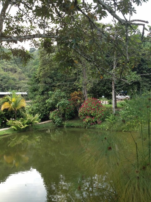 A pond at the Ecohostal