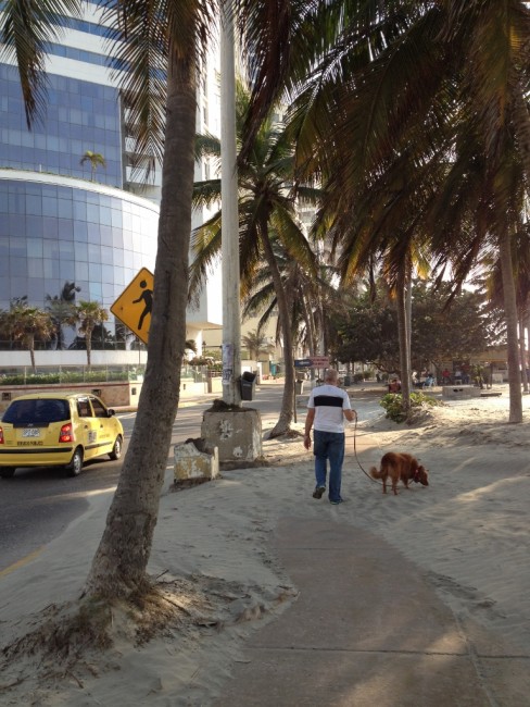 The sand encroaches on the road by our hotel.