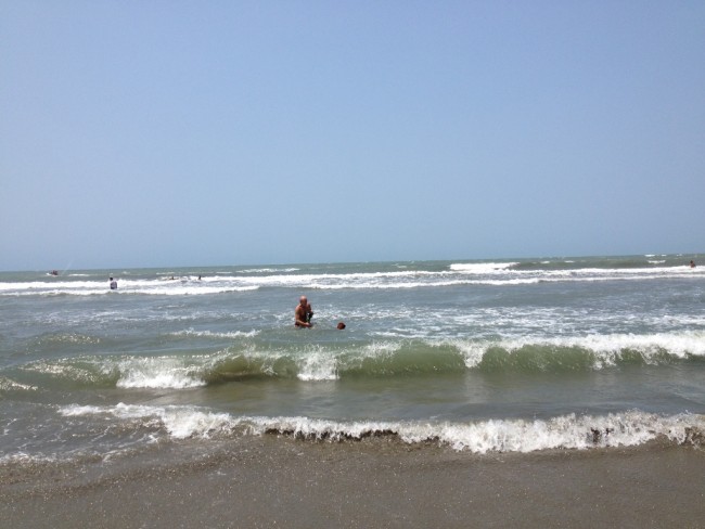 Chasing sticks in the surf