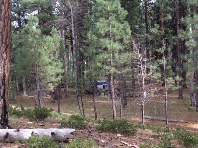 Oregon campsite, just outside Sisters.